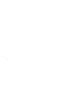 Griffenfer